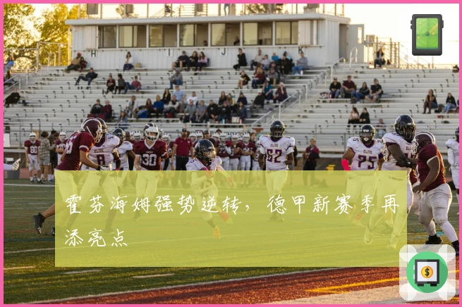 霍芬海姆强势逆转，德甲新赛季再添亮点