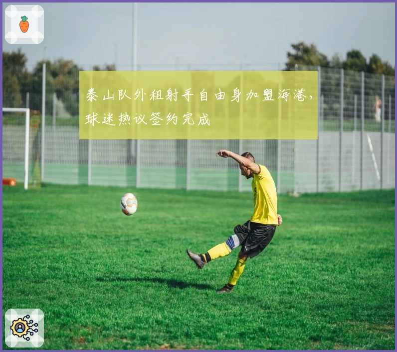 泰山队外租射手自由身加盟海港，球迷热议签约完成