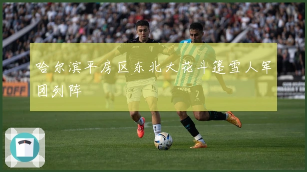 哈尔滨平房区东北大花斗篷雪人军团列阵