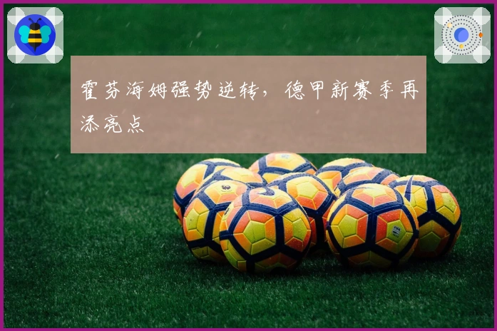 霍芬海姆强势逆转，德甲新赛季再添亮点